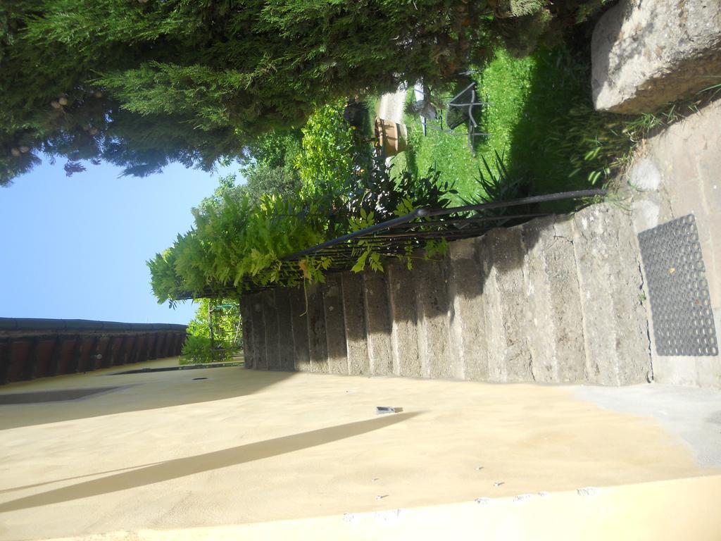 波吉邦西 特鲁塔特丽斯托二世旅馆 外观 照片